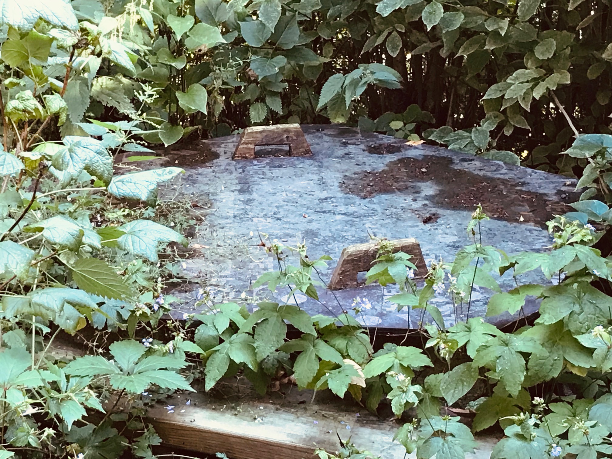 maakuoppa juureksille